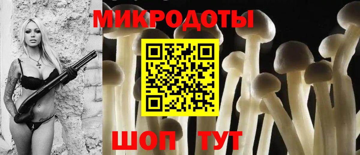 Апрелевка  Псилоцибиновые грибы Psilocybe  Вход с VPN 